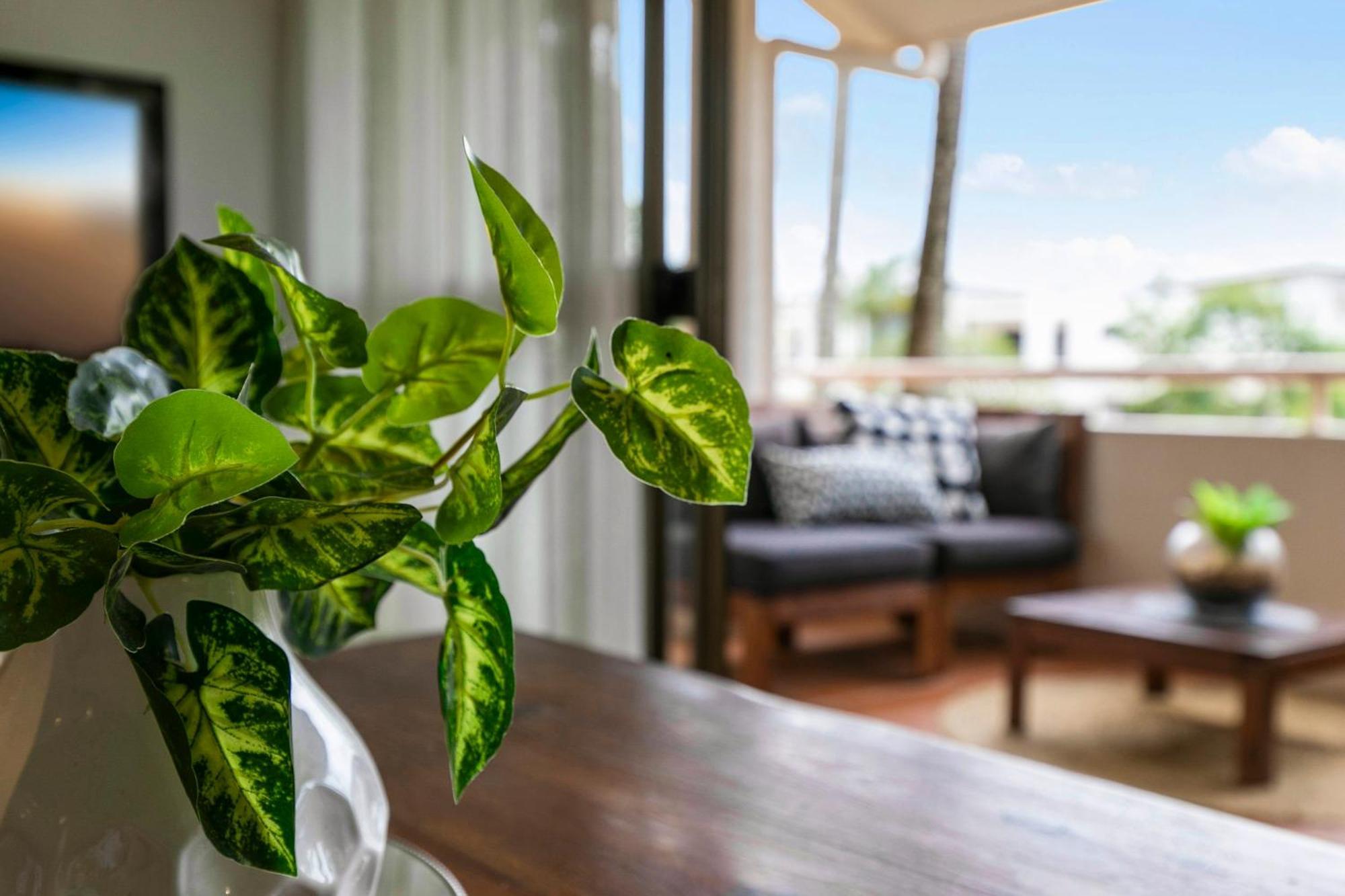 The Noosa Apartments מראה חיצוני תמונה